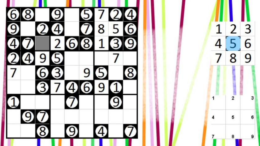 Logic Puzzle Collection: Sudoku - Permudoku